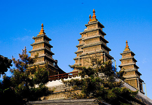 xổ số đồng tháp ba đài