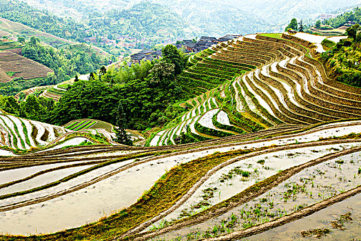 soi cau du doan xs mien bac