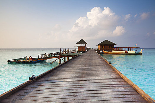 dự đoán bình định