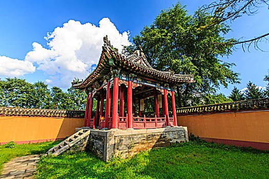 cầu bạch thủ 247