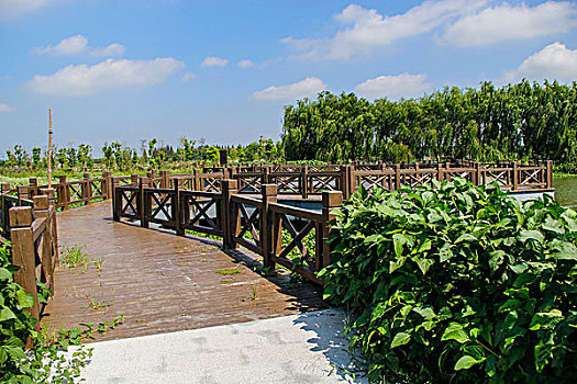 soi cầu bạch thủ đề hôm nay