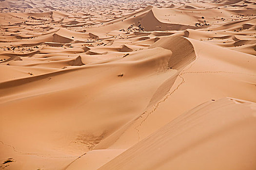 xsmn thu 6