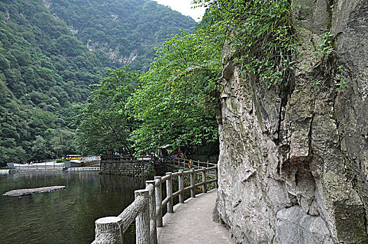dàn đề chuẩn