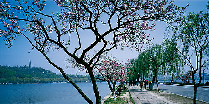 thống kê xổ số gia lai
