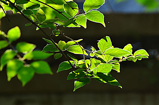 xổ số miền bắc thứ tư tuần trước