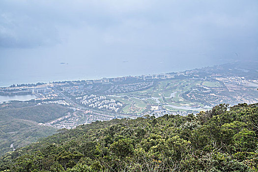 lô bach thu hom nay