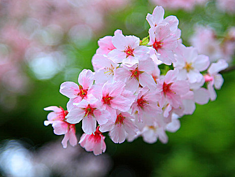 xsmn minh ngoc thu 7
