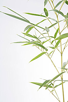 xổ số hai đài