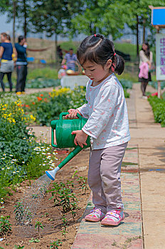 miền bắc thứ sáu