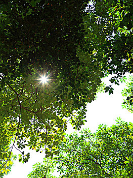 dự đoán wap