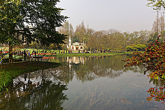 soi cau bach thu hom nay