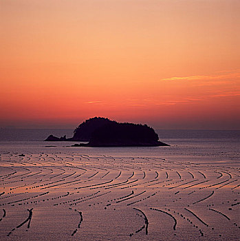 du doan lo