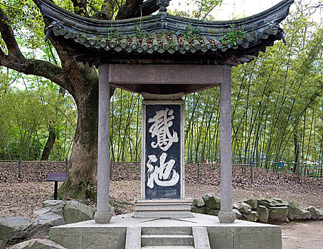 soi cau lô bạch thủ