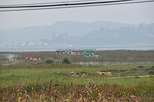 cầu bạch thủ bình định