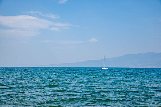 lo bạch thủ đẹp hôm nay