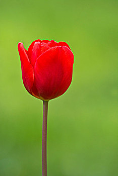 kết quả xổ số hôm nay