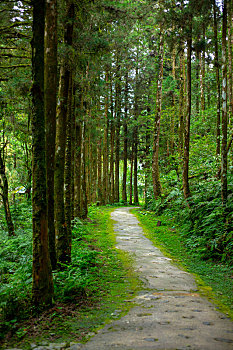 quay thử xổ số