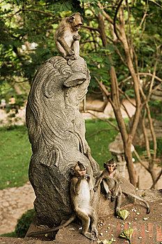 sổ kết quả xsmb