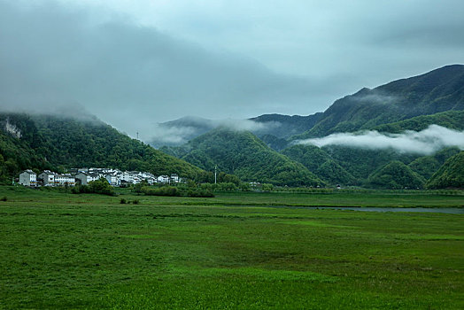 lô bạch thu khung 2 ngày