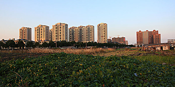 betwin2888 soi cau