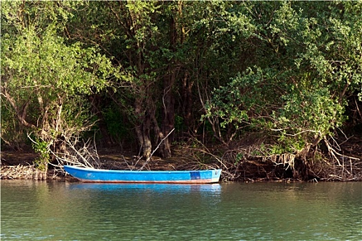 soi câu lô