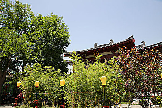gio vang chốt sô