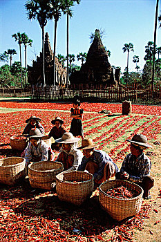 dự đoán xổ số miền nam miễn phí