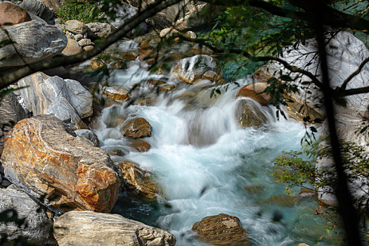 bach thu kep hom nay