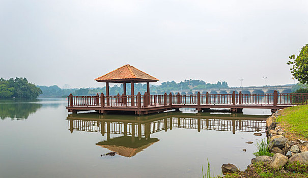 soi cầu