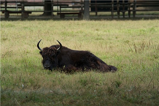 du doan xs 3 mien
