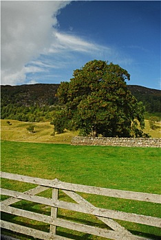 xs 30 ngay