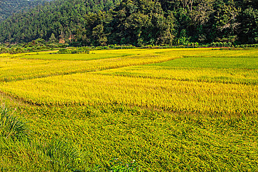 xsmb minh ngoc hom nay