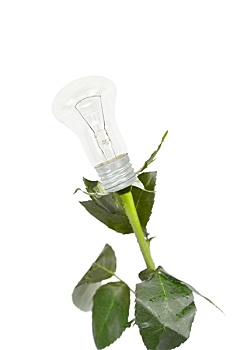 lô kép miền bắc