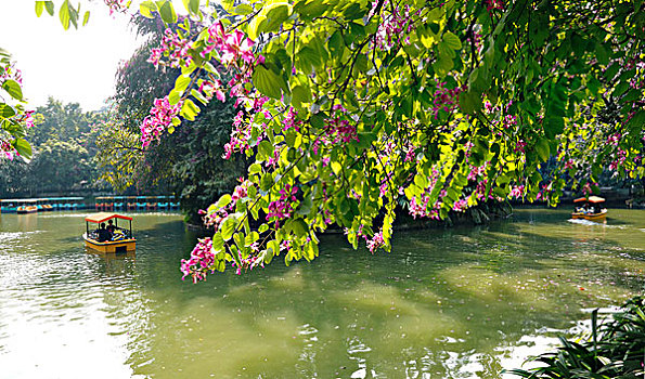 thong ke soi cau bach thu hom nay