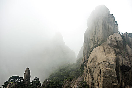 rong bach kim 666 hom nay