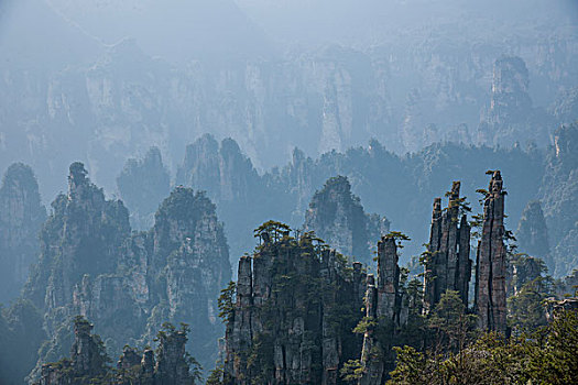 lô rơi miền bắc