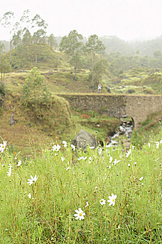 soi bạch thủ đề hôm nay