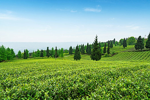 xô số