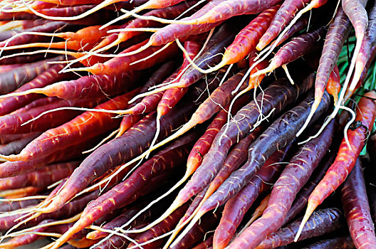 kết quả xổ số chấm nét