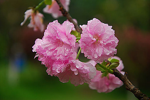 soi cầu 3 miền
