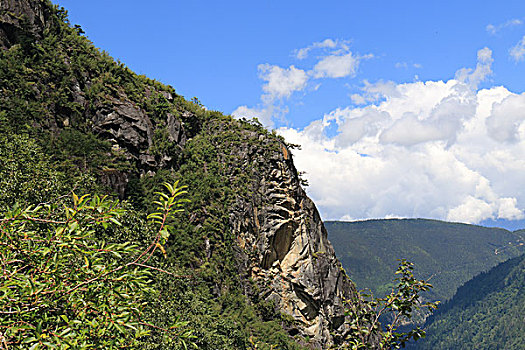 soi cau kep