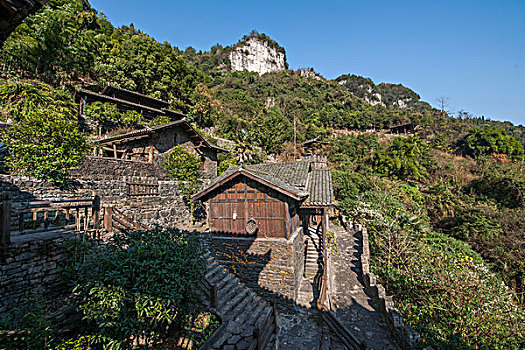 soi cau rong bach kim mien phi
