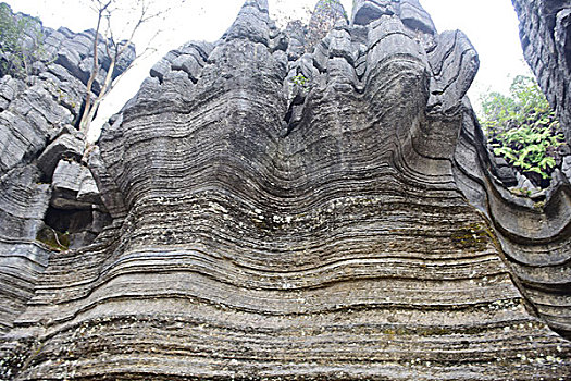 lo kep khung 3 ngay rong bach kim