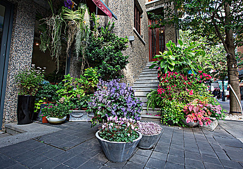 soi cầu đẹp