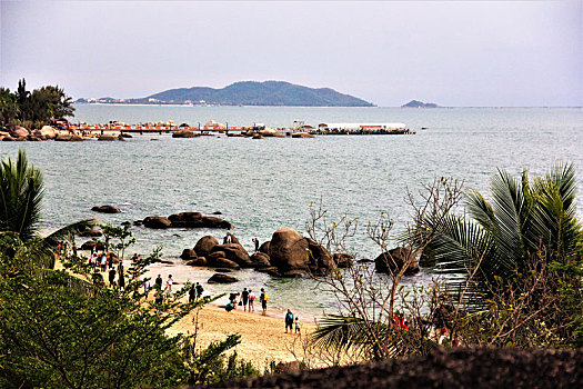 soi cau bach thu mien bac 24h