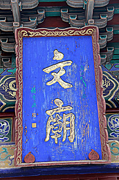 bach thu mien phi