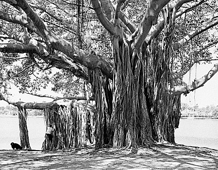 xổ số thứ ba
