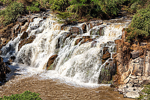 xổ số 100 ngày