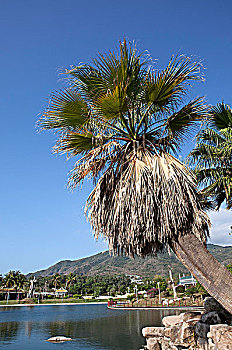 dự đoán
