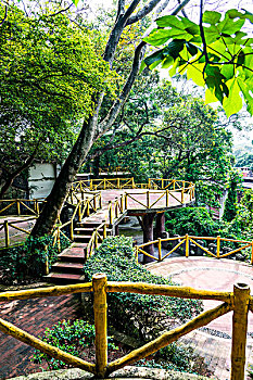 cầu bạch kim